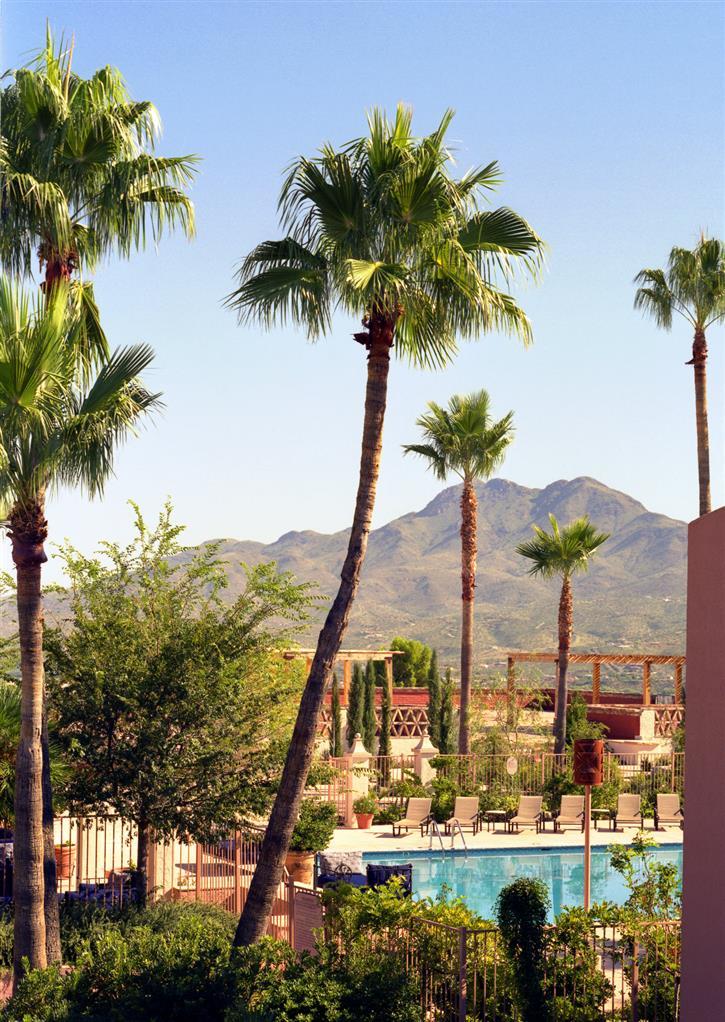 Esplendor Resort At Rio Rico Konforlar fotoğraf