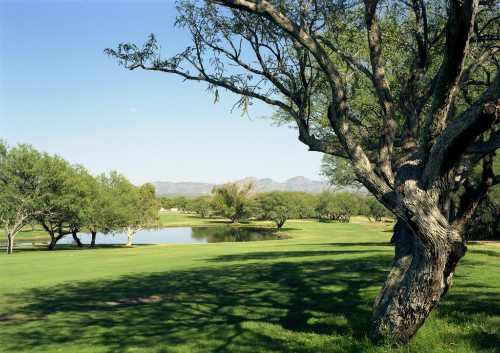 Esplendor Resort At Rio Rico Konforlar fotoğraf