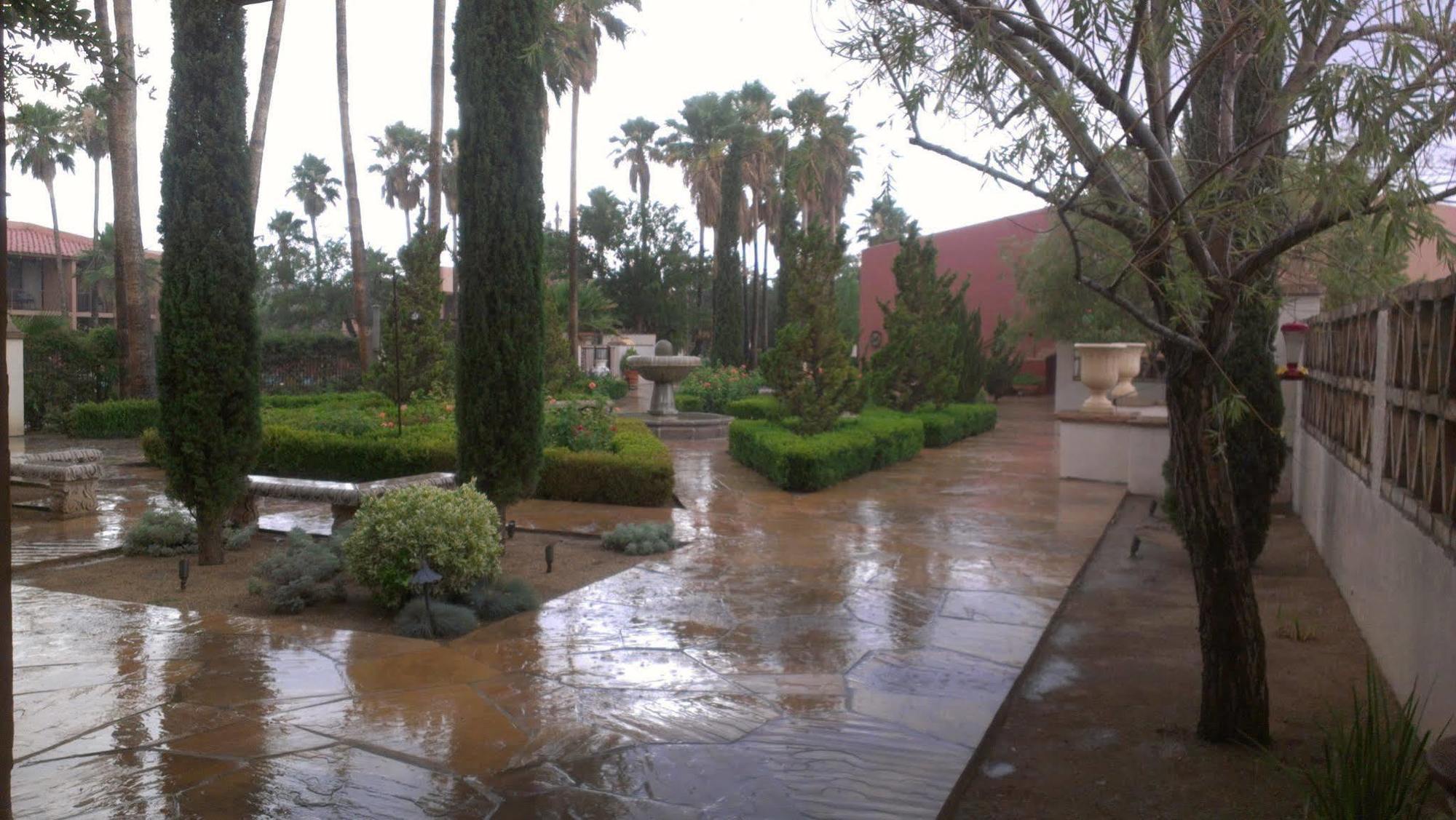 Esplendor Resort At Rio Rico Dış mekan fotoğraf